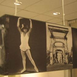 Recheckige H�ngelampen in Sepia bedruckt